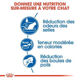 ROYAL CANIN - Chat Adulte - Indoor 27