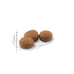 ROYAL CANIN - Chat Stérilisé 37