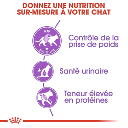 ROYAL CANIN - Chat Stérilisé 37