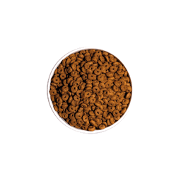 OWNAT Classic Daily Care - Chat Adulte
