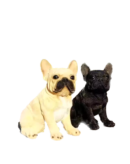 Hunting Lovely French Bulldog canine  dog  LIGHT BEIGE?