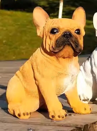 Hunting Lovely French Bulldog canine Dog BROWN_0