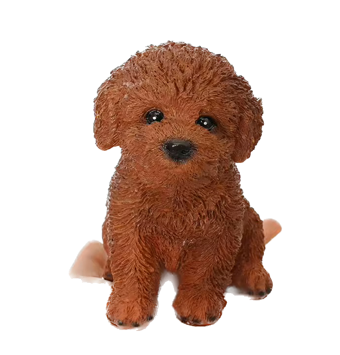 Hunting poodle canine Dog BROWN_0