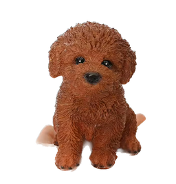 Hunting poodle canine Dog BROWN