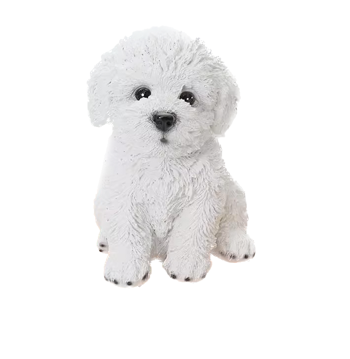 Hunting poodle canine Dog WHITE_0