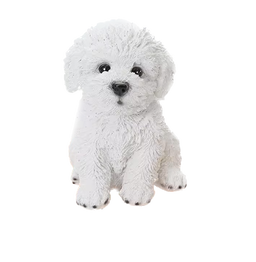 Hunting poodle canine Dog WHITE