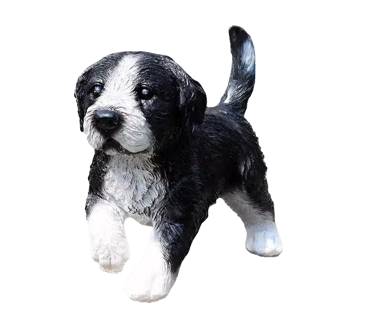 Hunting Border Collie  canine Dog