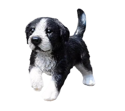 Hunting Border Collie  canine Dog