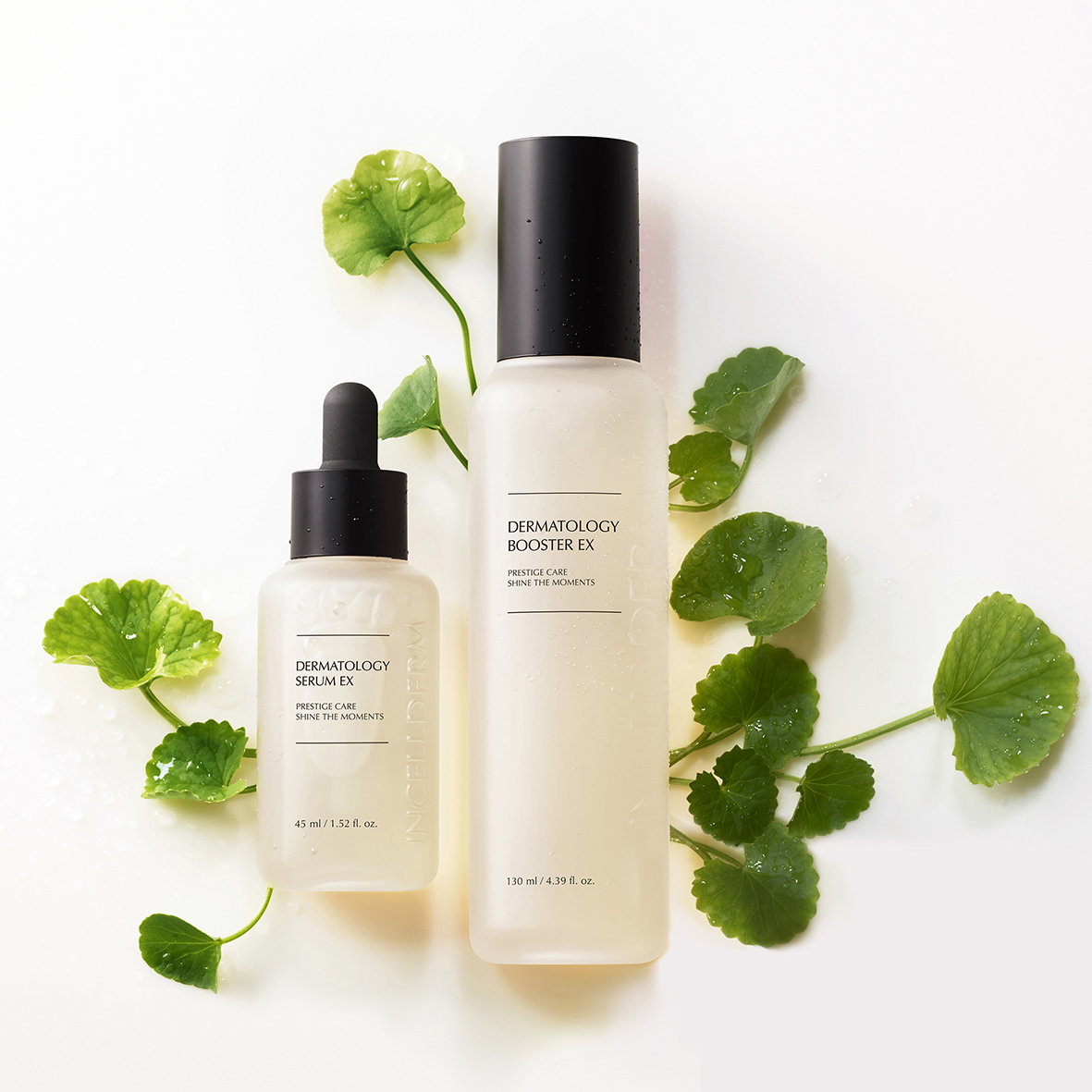 INCELLDERM Dermatology Kit_2