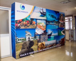 Backdrop Pop-Up 2.97x2.25m