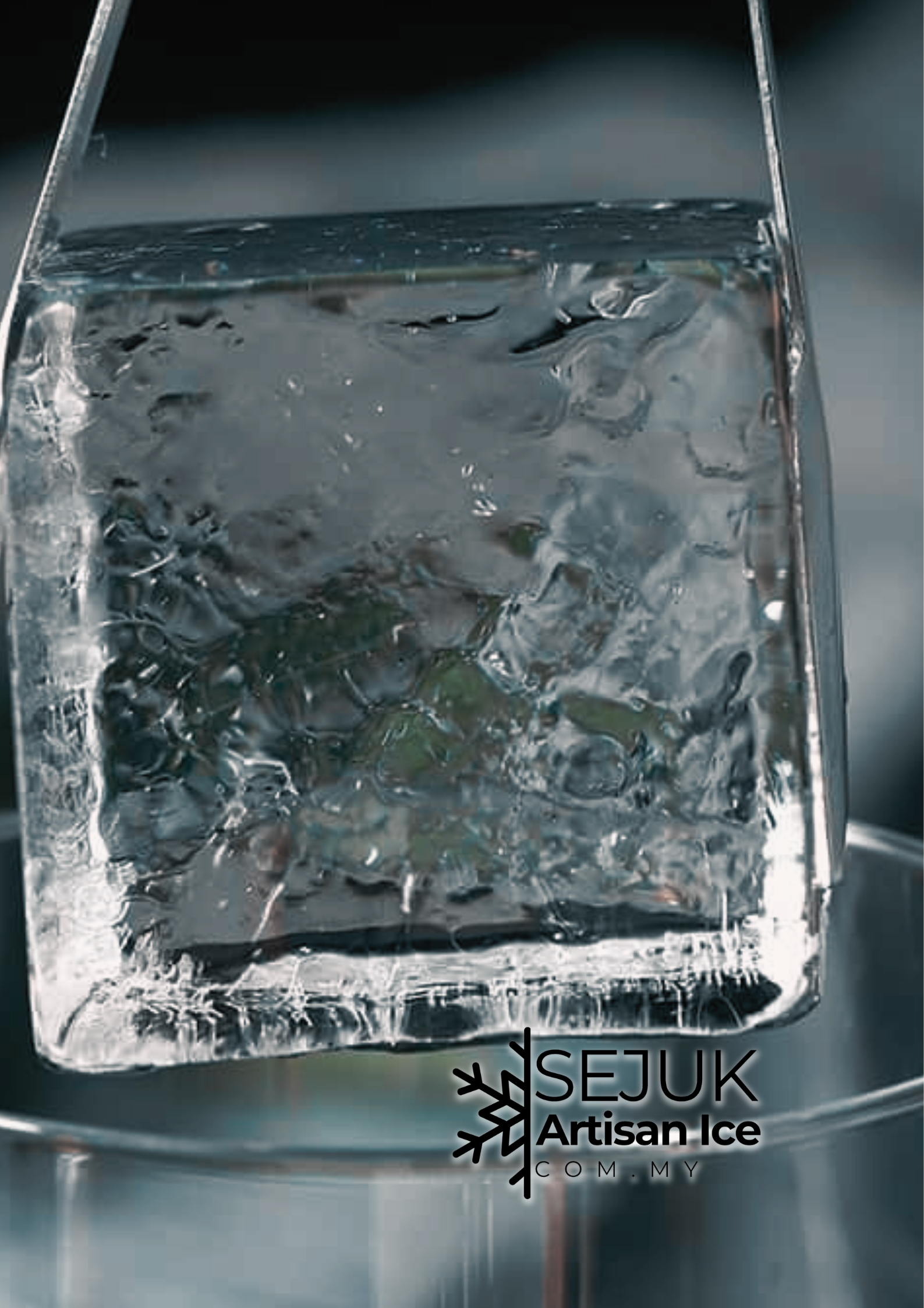 Edible Ice_2