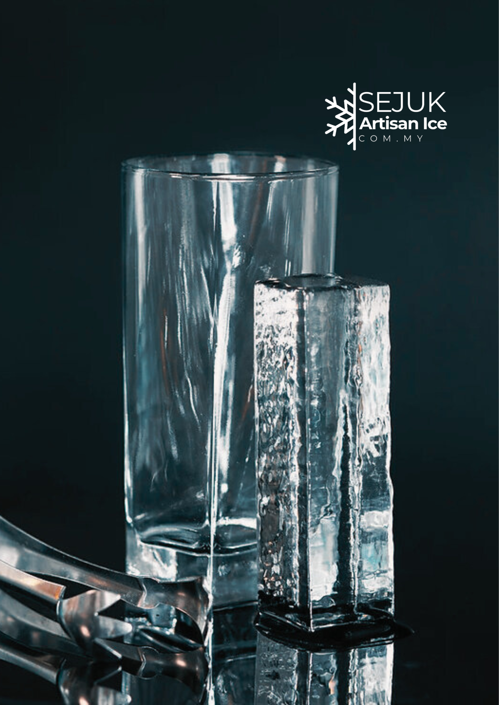 Edible Ice_4
