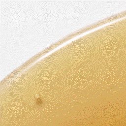 Botalab Hair Shampoo
