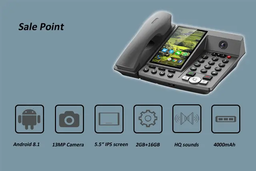 Cordless office phone