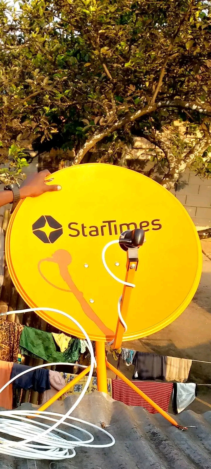 Startimes 