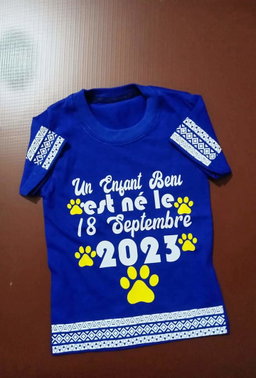 Tee-shirt personnalisé 