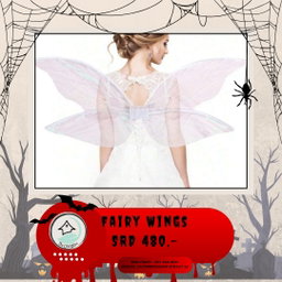 Fairy Wings