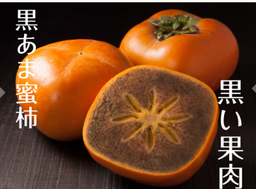 (KING OF PERSIMMON) 黒あま柿 Kuro Persimmon (pc)