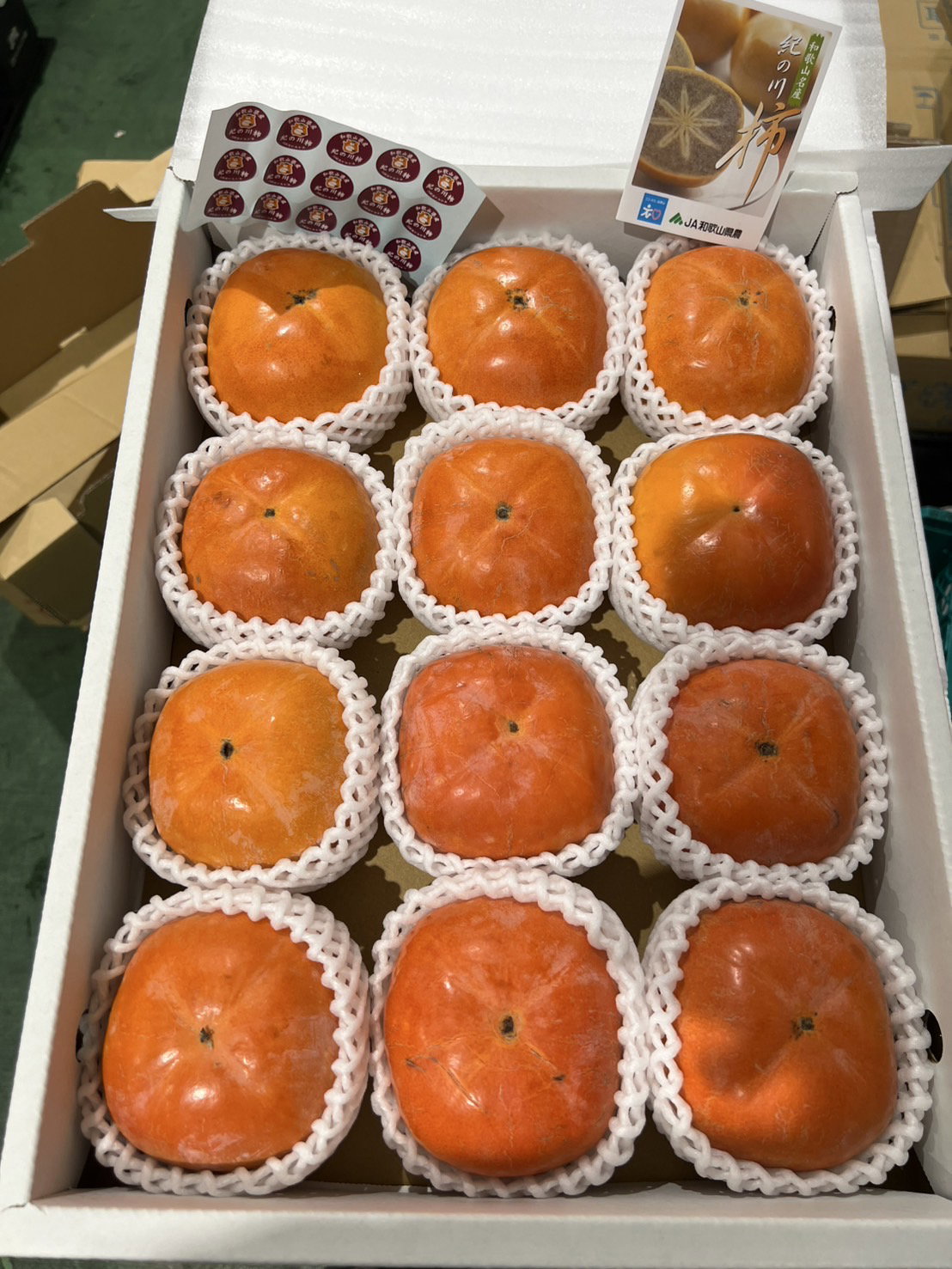 (KING OF PERSIMMON) 黒あま柿 Kuro Persimmon (pc)_2