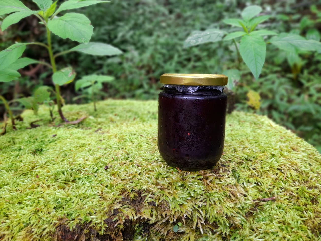 Homemade Mulberry Jam 300g_0