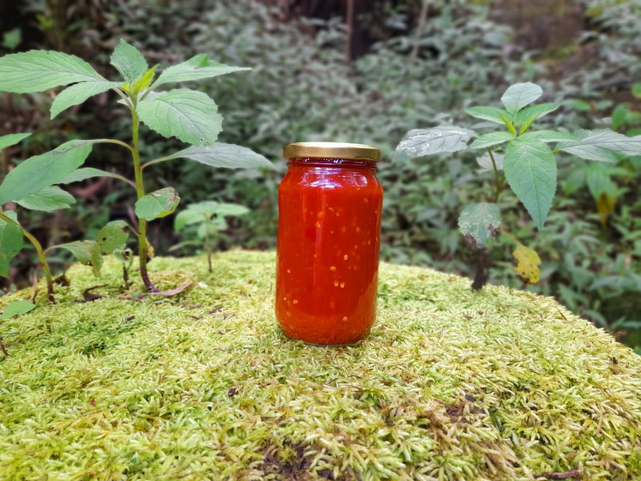 Homemade Tomato & Chili Sauce 650g (No Added Preservatives) _0