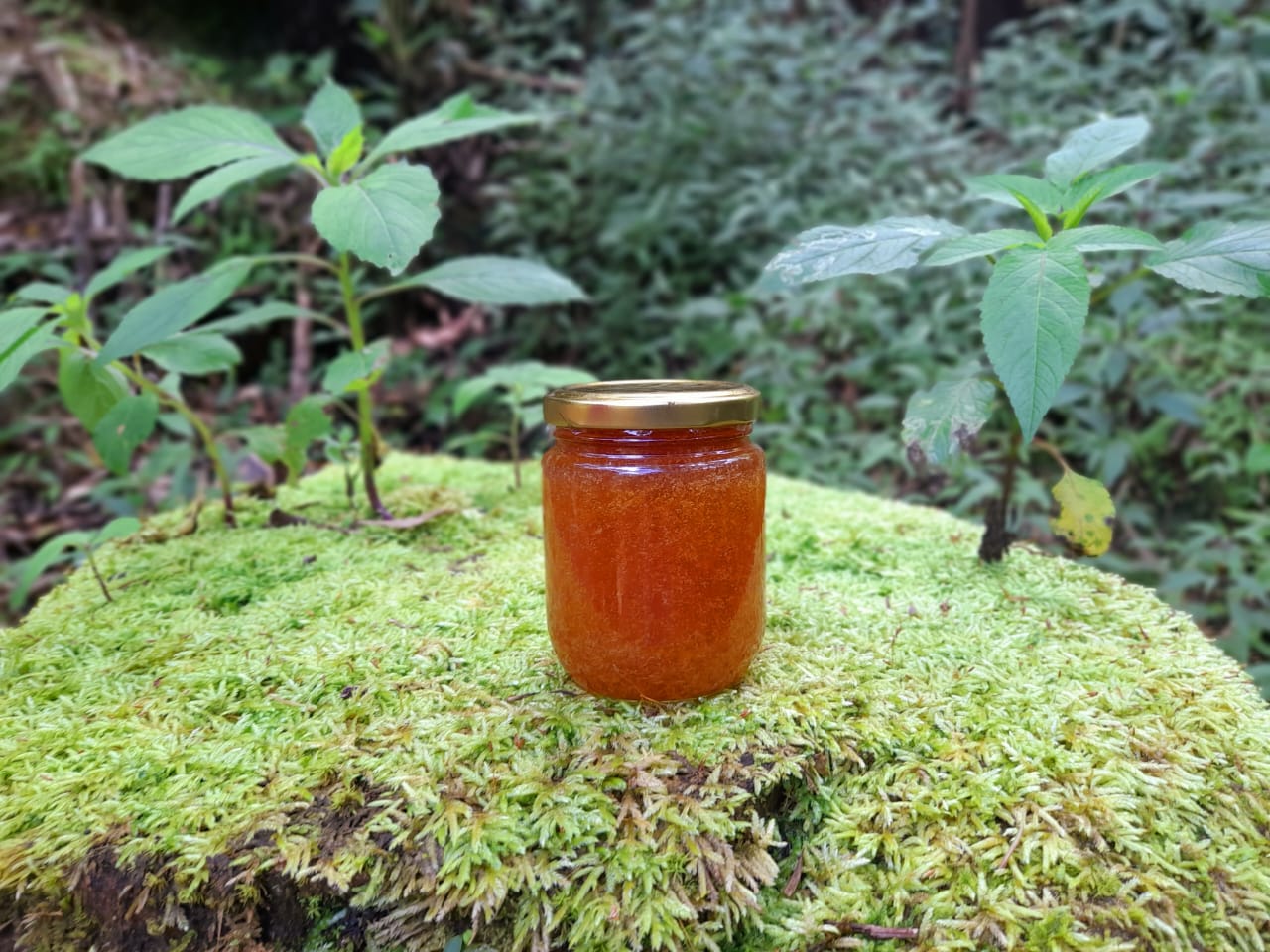 Bee's Honey 250g_0