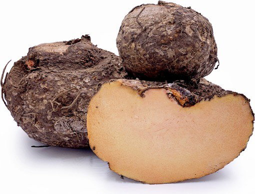 Elephant yam (Suran)