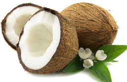 Dry Semi Husked Coconut 