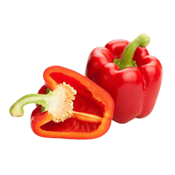 Capsicum 