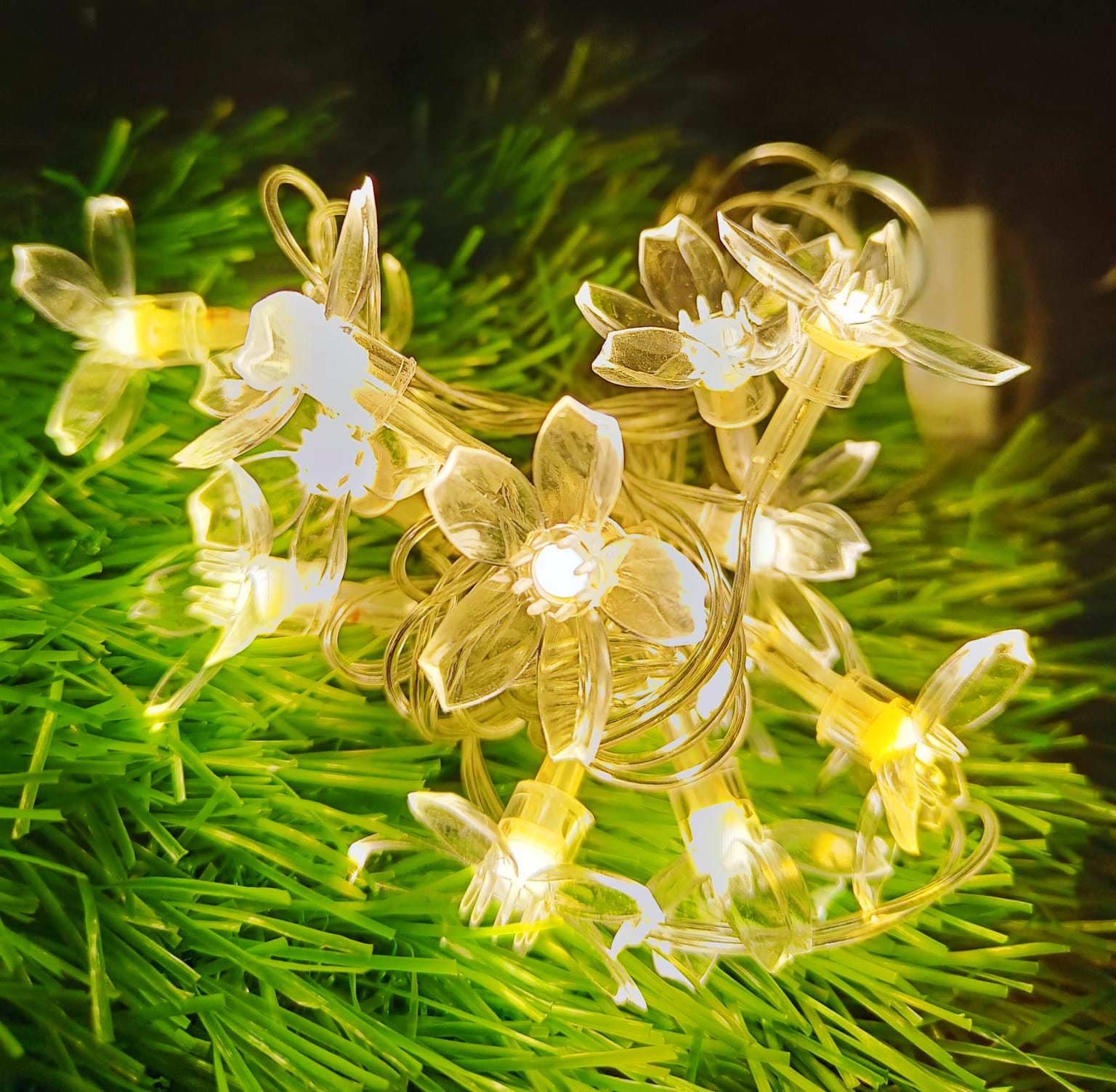 Flower string light ✨_1