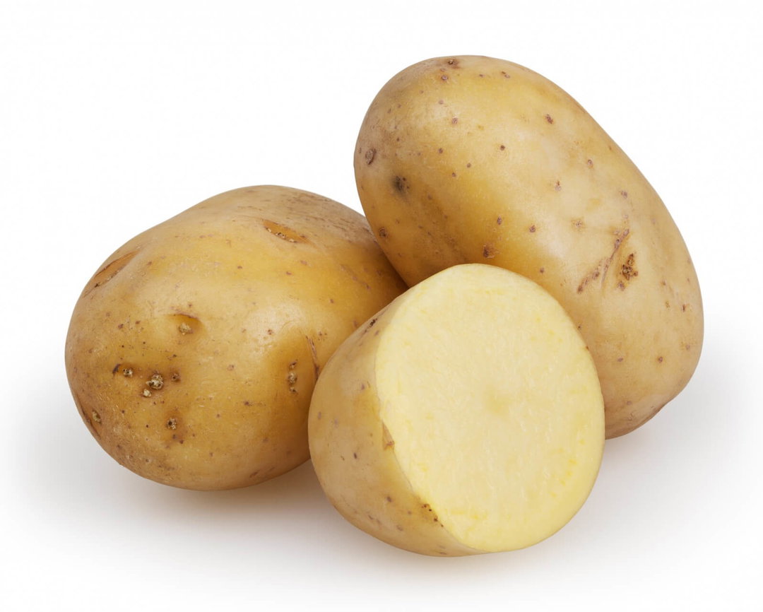 ድንሽ