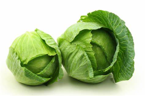 ካውሎ