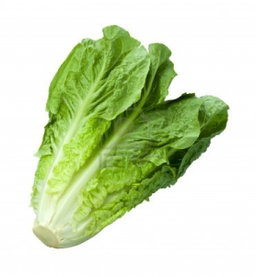 ሰላጣ