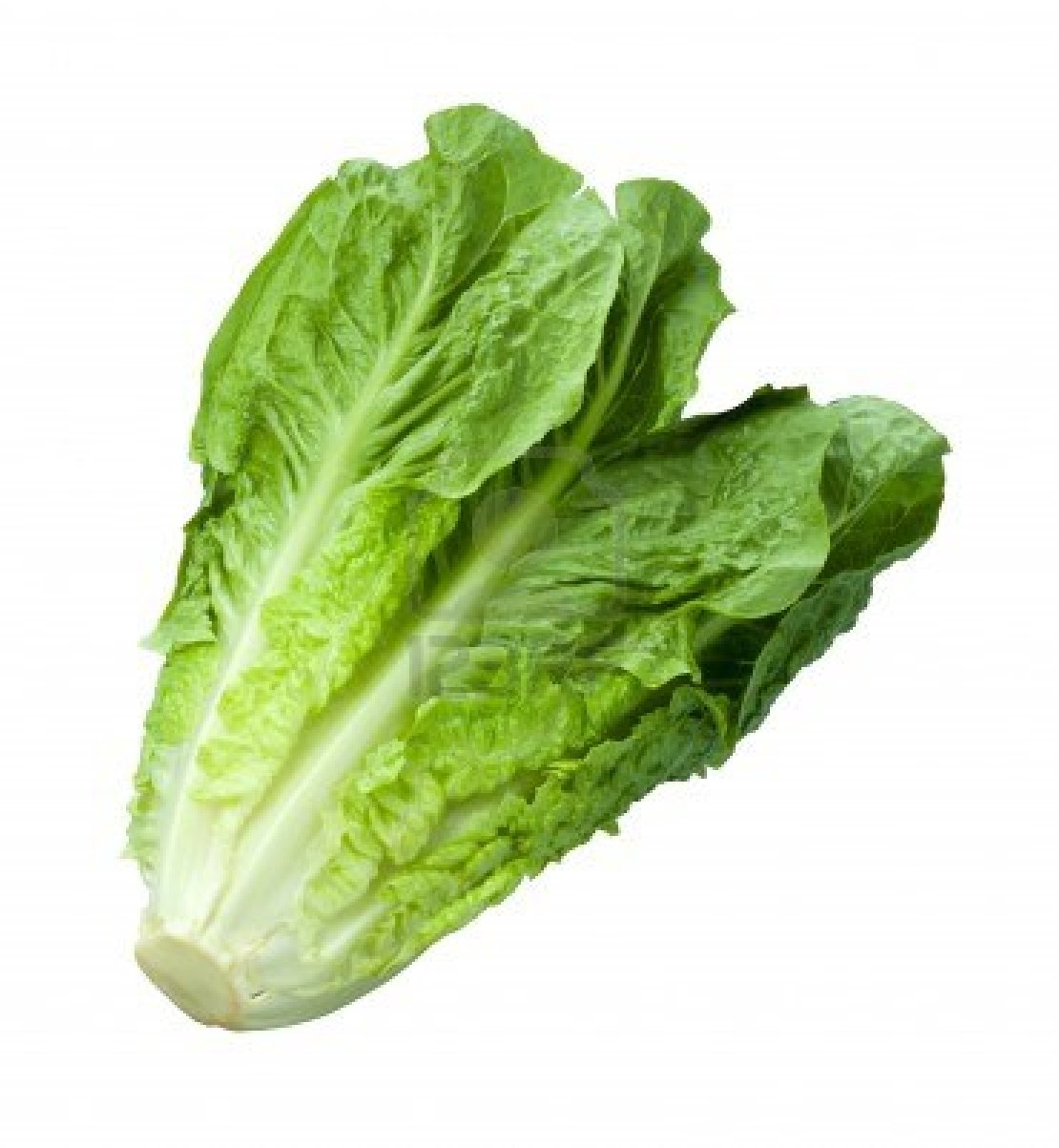 ሰላጣ