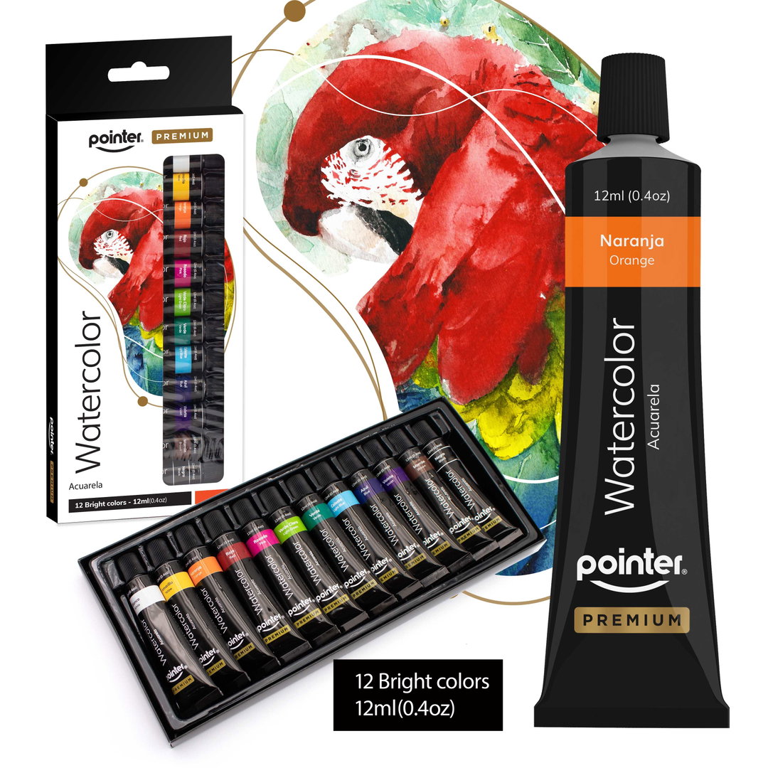 Acuarela WaterColor Sets 12 Colores