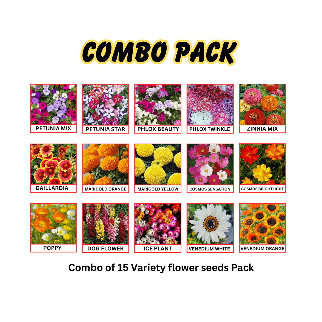COMBO PACK
