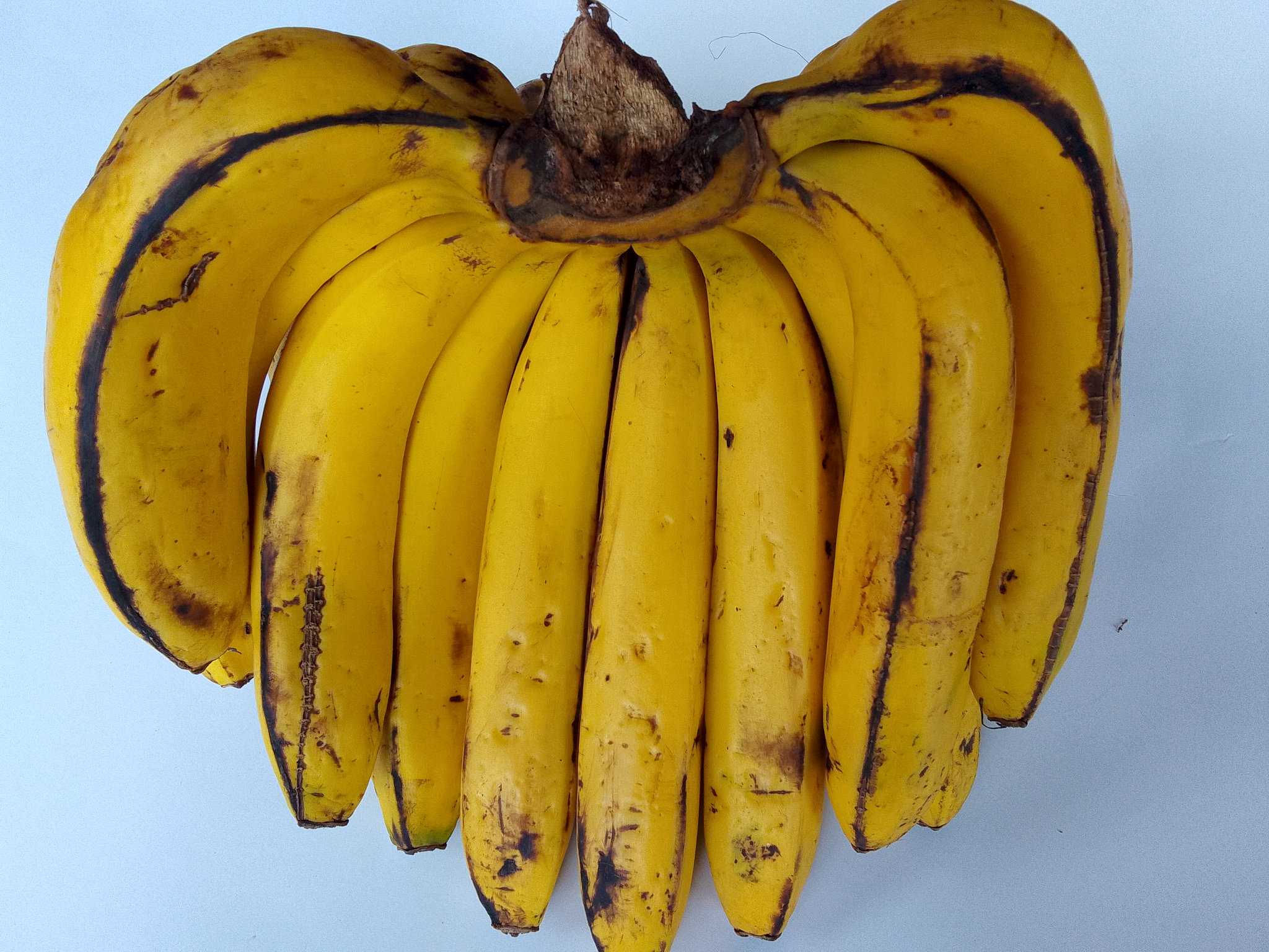 Bananas_0