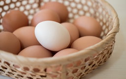 Eggs