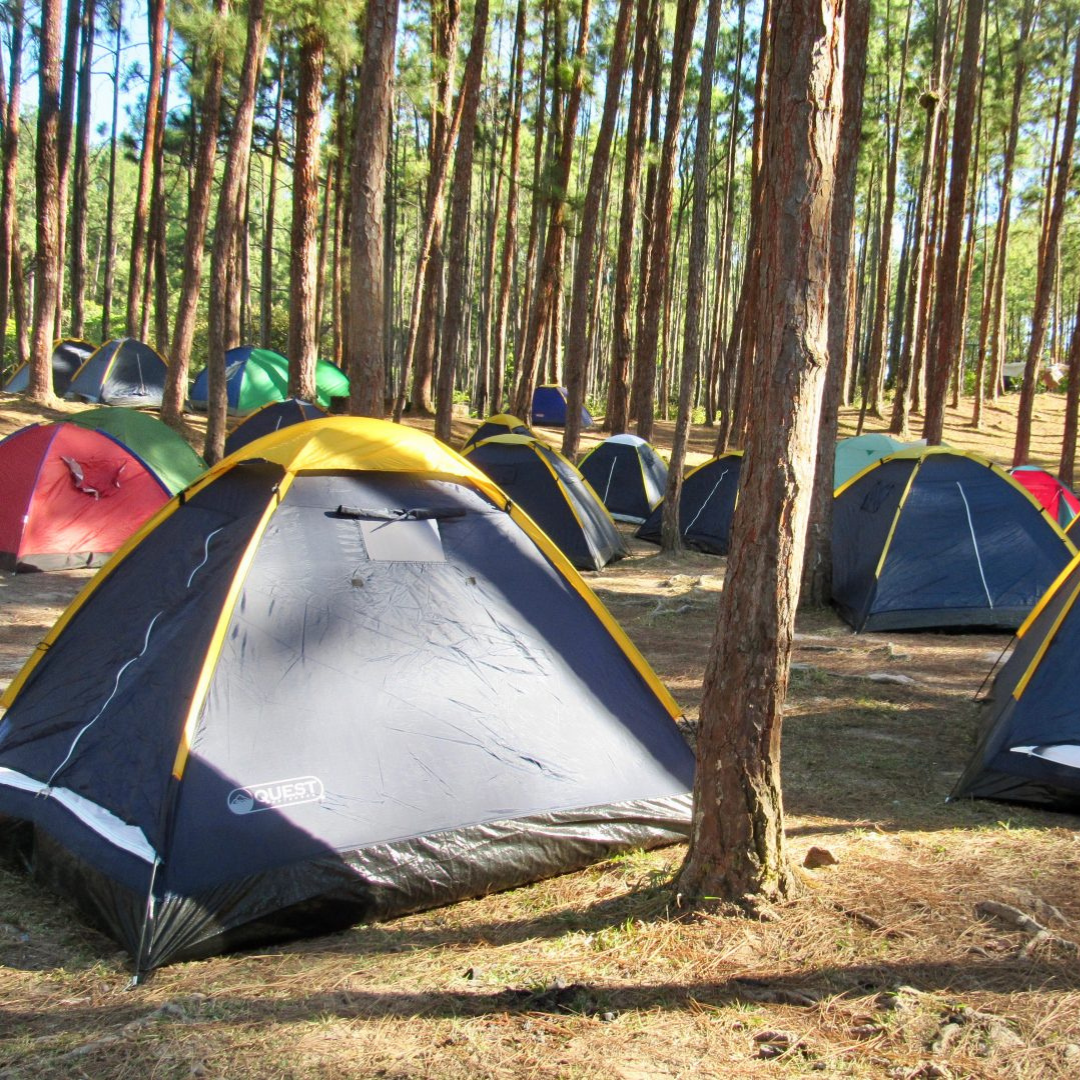 CAMPING LA YEGUADA