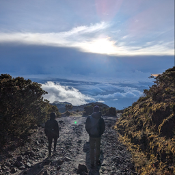  HIKING + CAMPING (CAMINATA)
