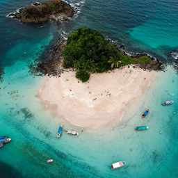 COIBA-PIXVAE