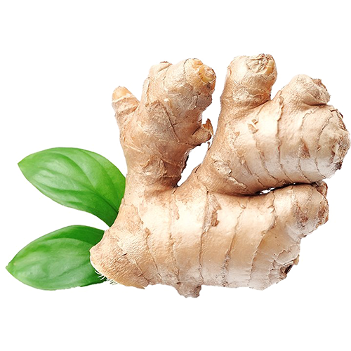 Old Ginger approx 500g