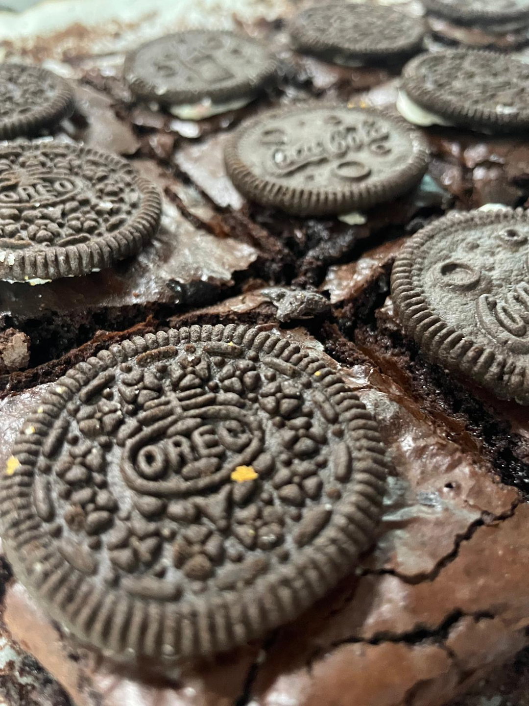 Fudgy Oreo Brownies