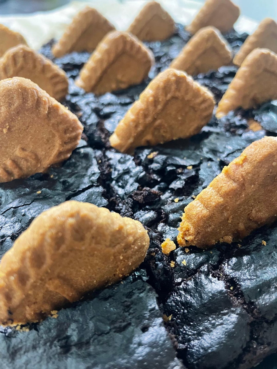 Lotus biscoff brownies