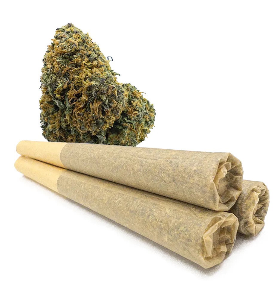 JOINT XL