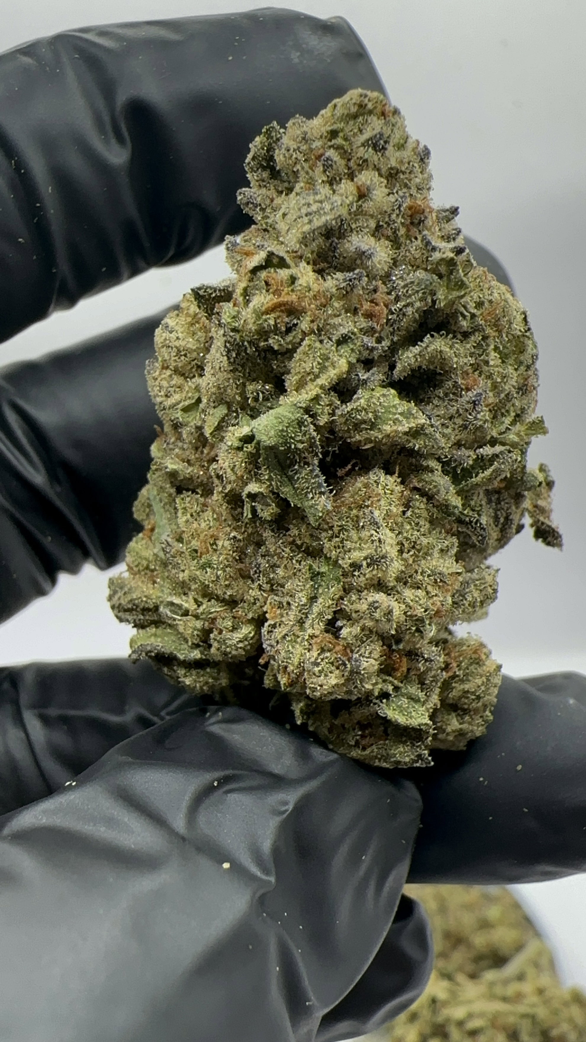 INDOOR/HYDRO_0