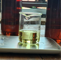 Candle Making Workshop 