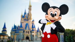 Holiday packages Quotes