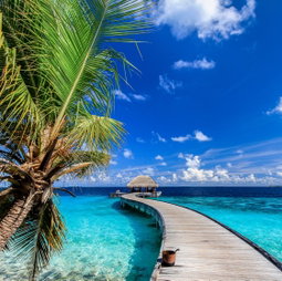 Holiday packages Quotes