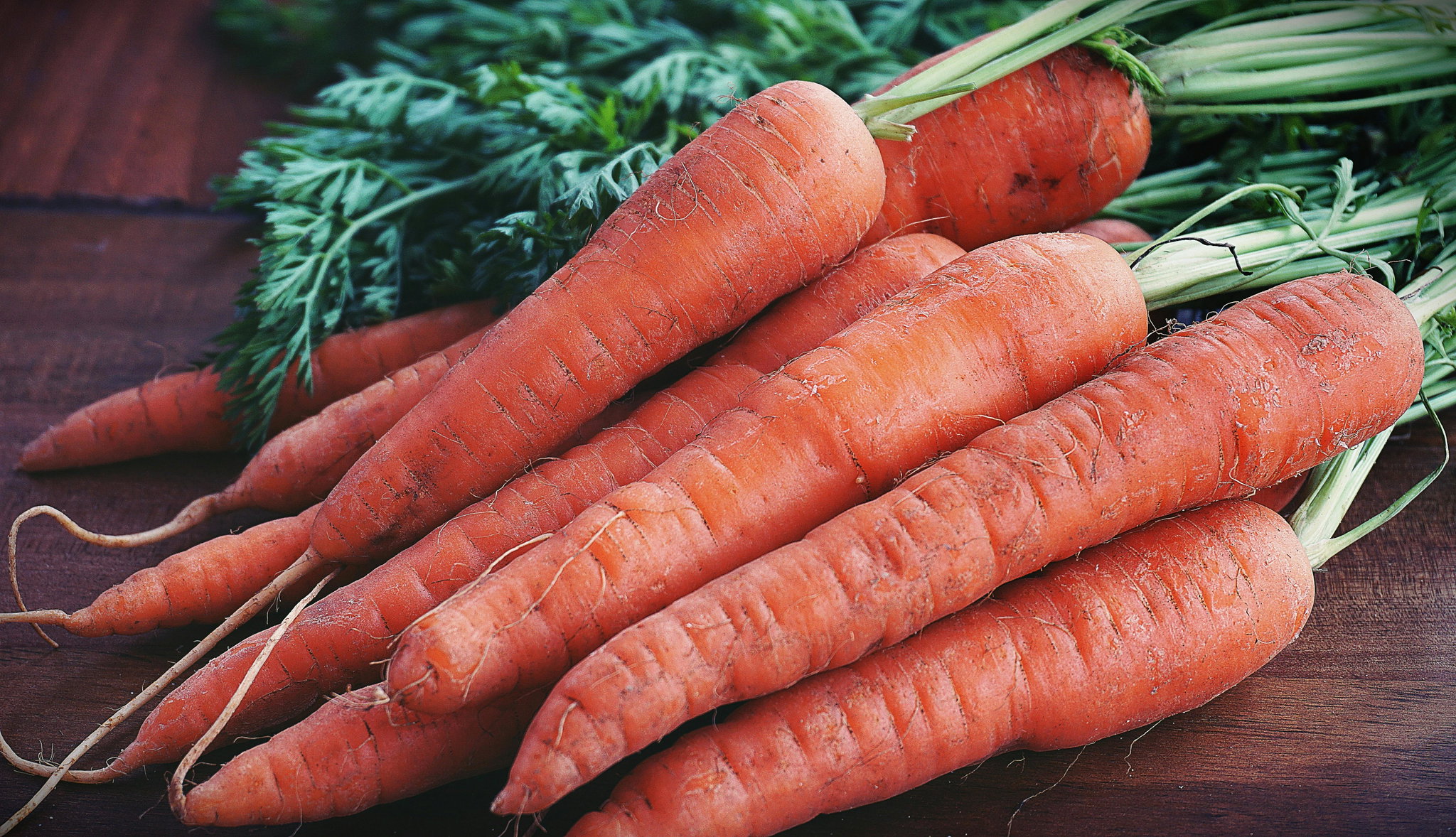 Carottes _0